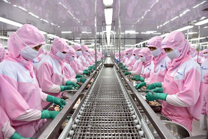 Dây chuyền chế biến công nghiệp - Mai Thị